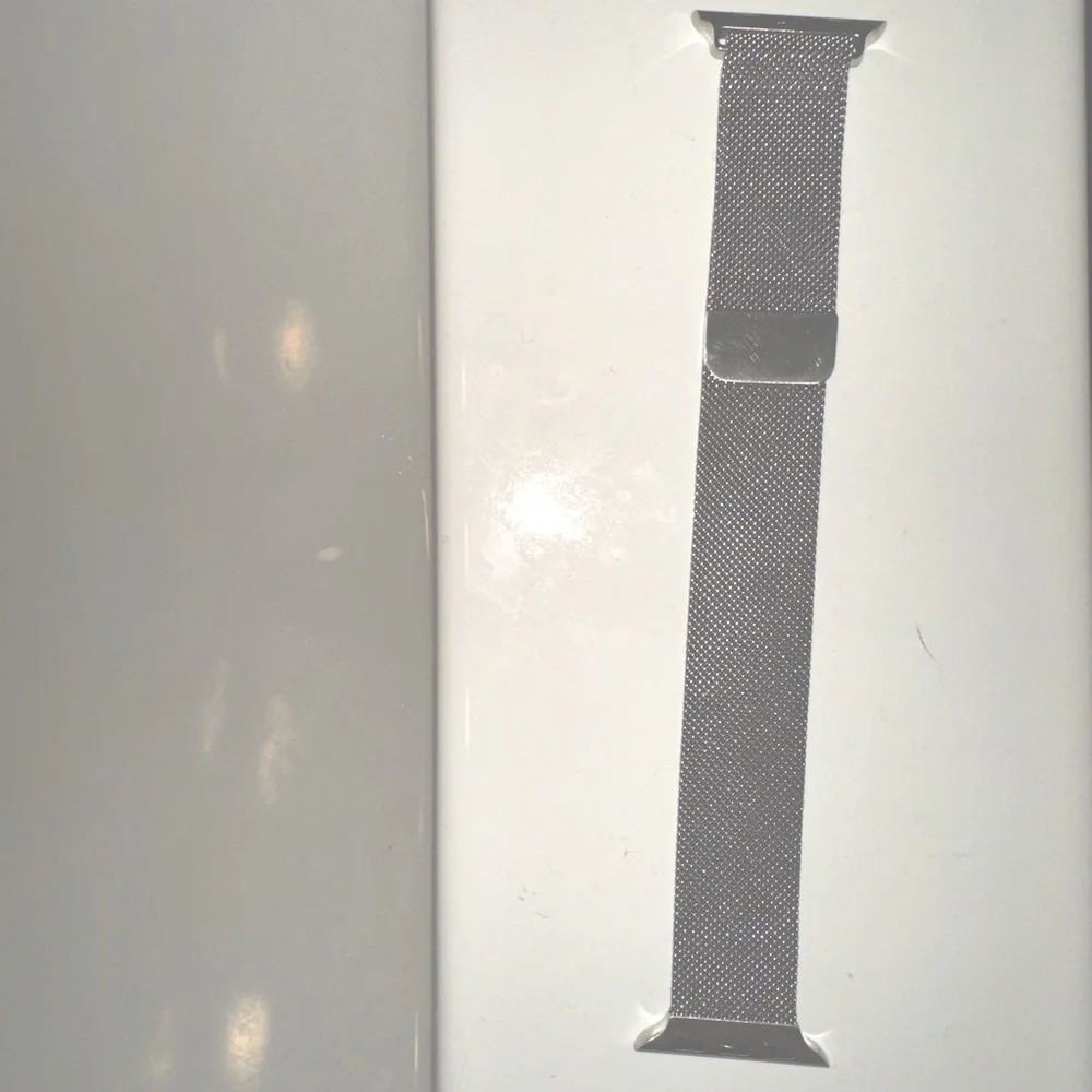 Apple Watch Series 3 stainless steel silver band